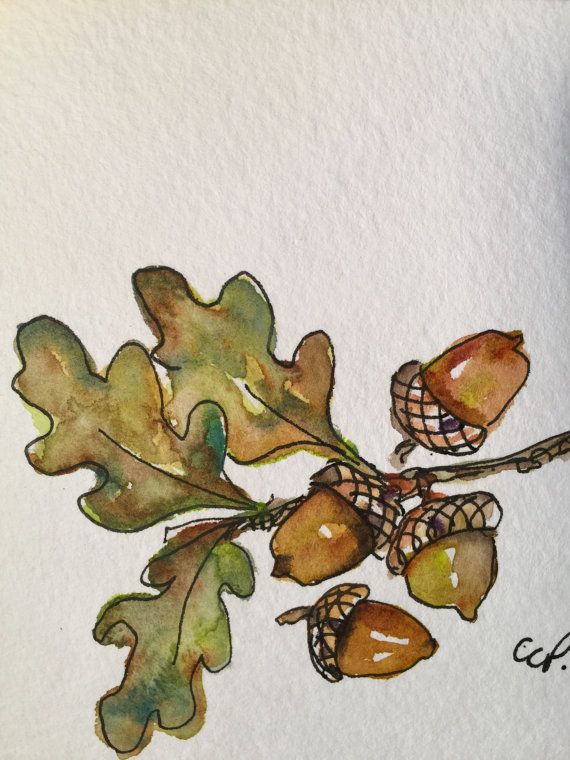 570x760 Acorns Watercolor Card To Paint Watercolor Cards