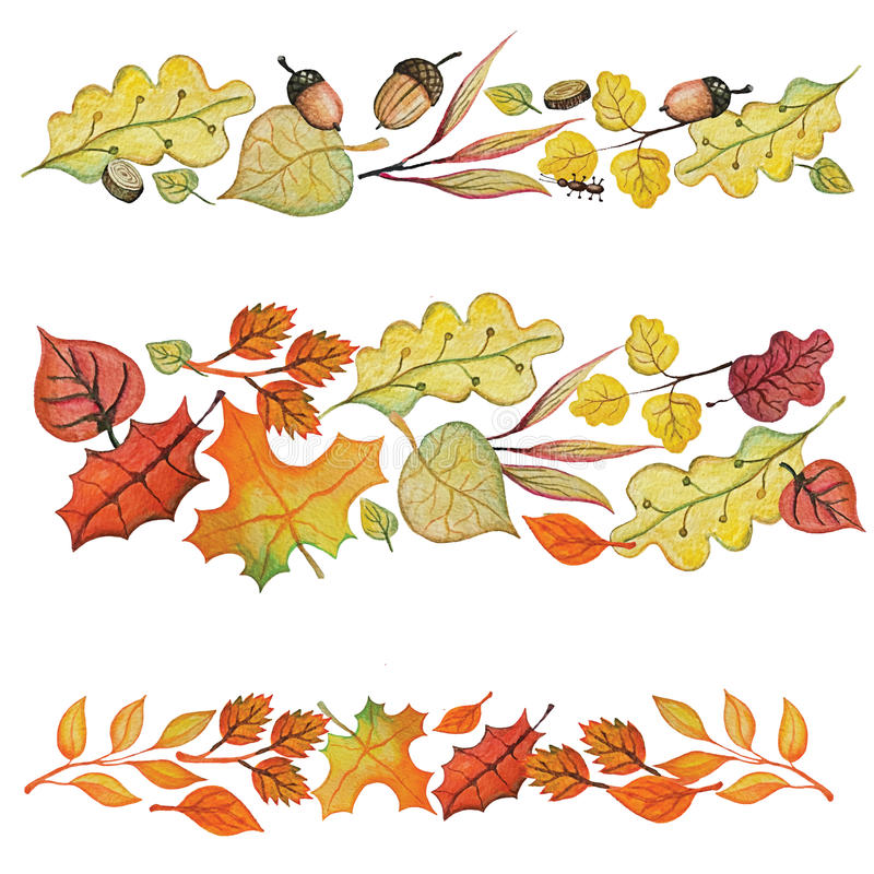 800x800 15 Acorn Clipart Watercolor For Free Download On Mbtskoudsalg