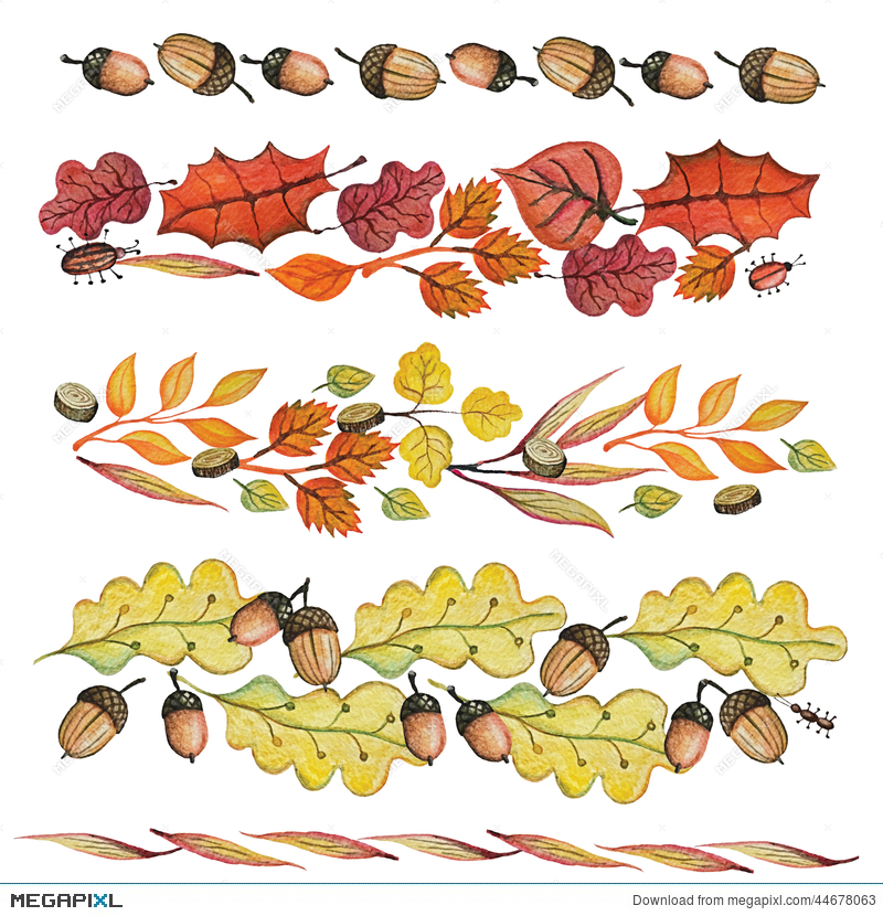 800x830 Watercolor Autumn Leaves,acorn Border Set Illustration 44678063