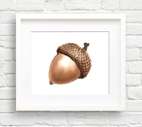 570x509 Acorn Art Print Wall Decor Watercolor Painting Etsy