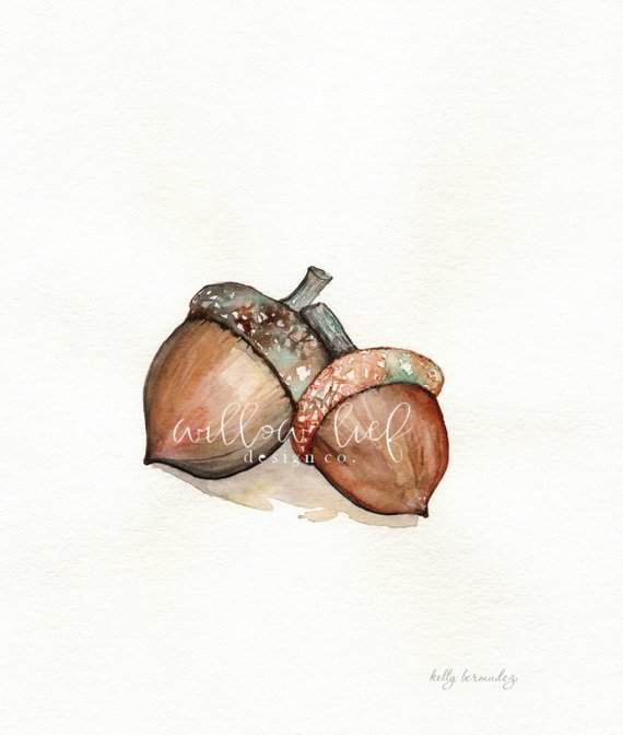 570x672 Acorn Love Acorns Fall Autumn Earth Tones Watercolor Etsy