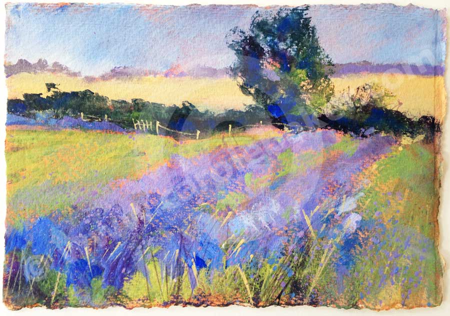 900x631 Daily Paintings 2017