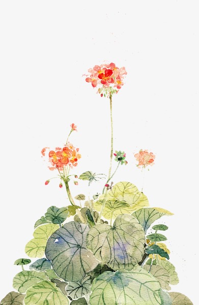 391x600 Watercolor Aesthetic Patterns, Watercolor Clipart, Watercolor Png