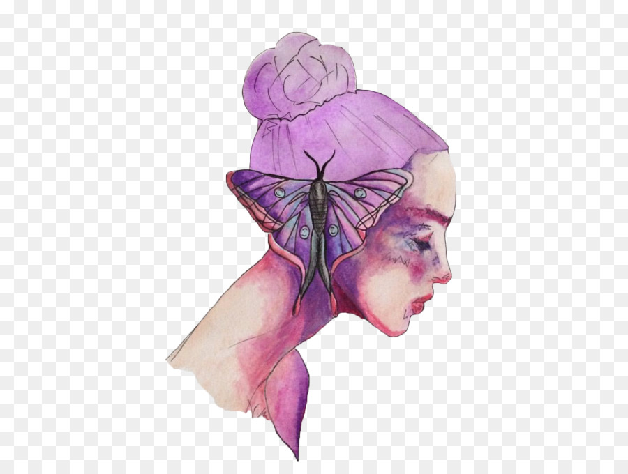 900x680 Watercolor Painting Butterfly Transparent Watercolor Wheel Drawing