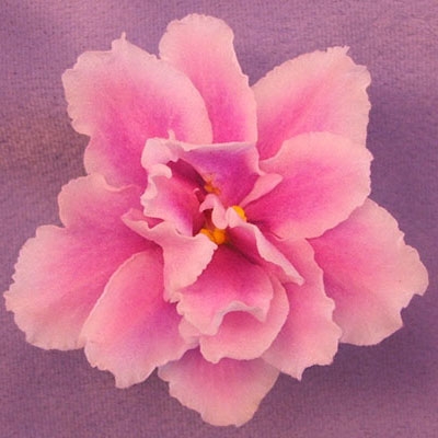 400x400 Music Box Dancer