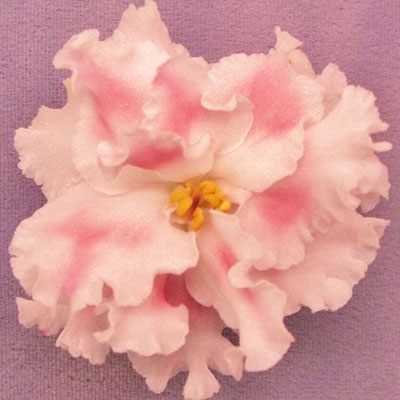 400x400 Pink Watercolor