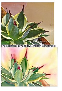 Agave Watercolor