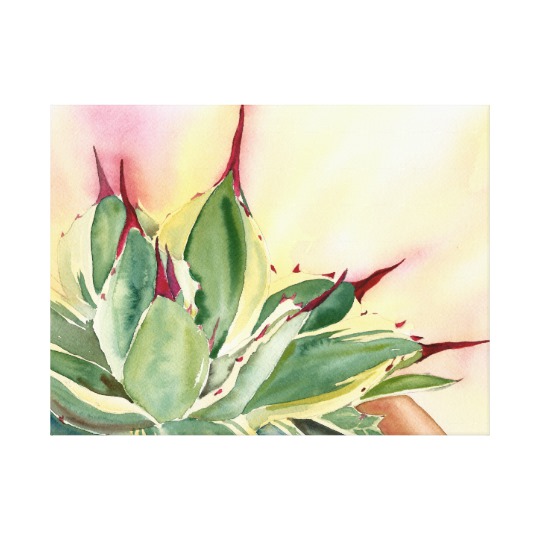 540x540 Agave Watercolor By Debra Lee Baldwin Canvas Print