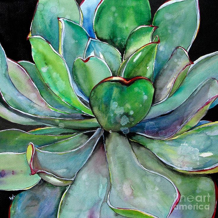 736x736 Green Agave Watercolor Canvas Print Canvas Art By Fei Liu