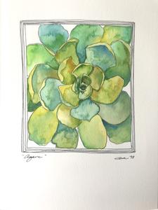 225x300 Original Mixed Media Watercolor Amp Pen Amp Ink Drawing Agave The