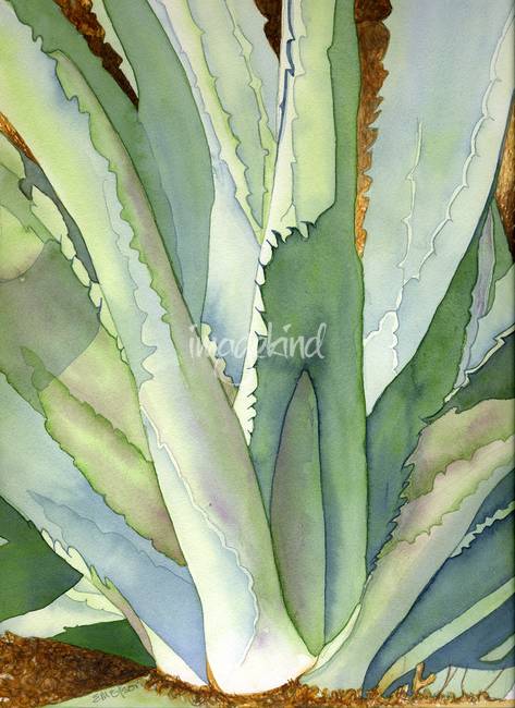 473x650 Stunning Agave Watercolor Painting Reproductions For Sale On