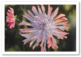 281x199 Iwata Airbrushes Watercolors And Acrylics