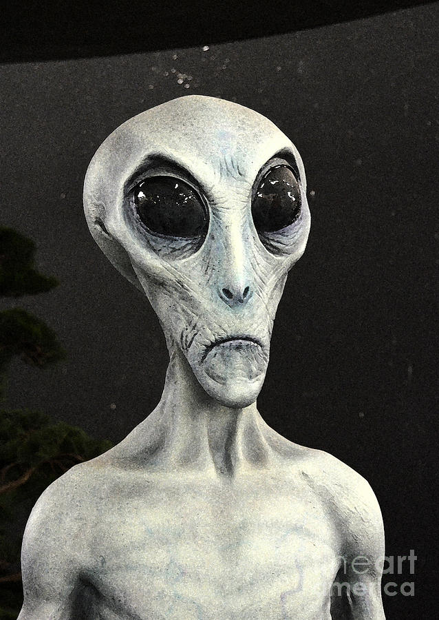 638x900 Grey Alien Science Fiction Portrait Black And White Watercolor