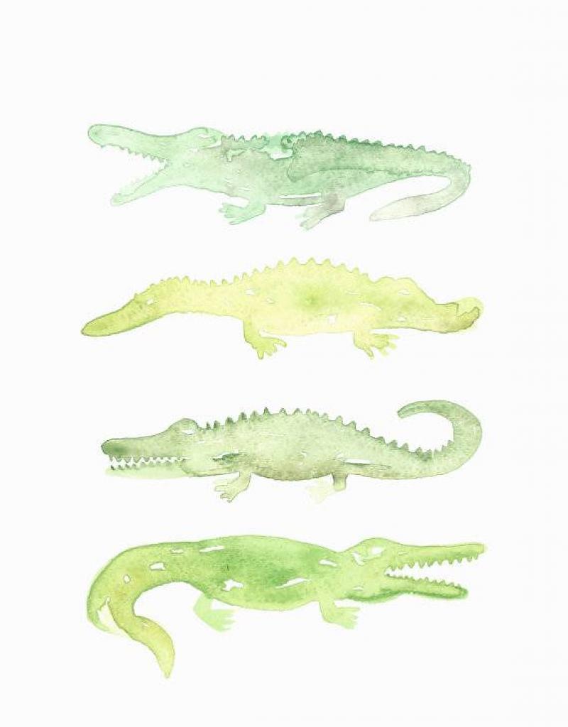 800x1024 Watercolor Alligator Print