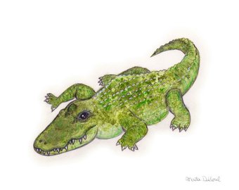 340x270 Alligator Wall Art Alligator Print Alligator Painting