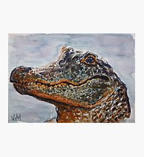 210x230 Alligator Watercolor Painting Amp Mixed Media Wall Art Redbubble