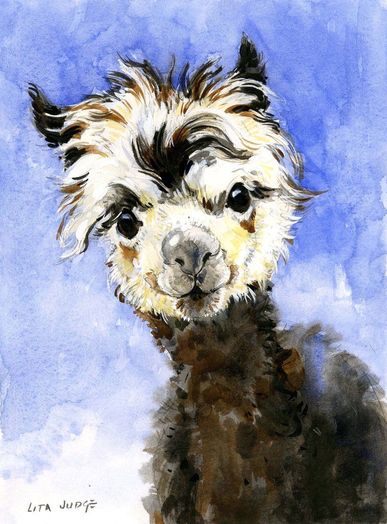 757x1024 Alpaca In 2018 Other Art Alpacas, Watercolor And