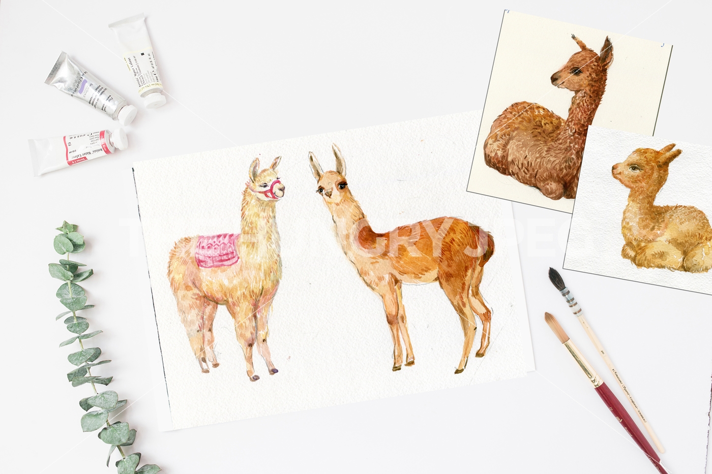 1400x933 Alpacas And Llamas .watercolor By Clipart Shop