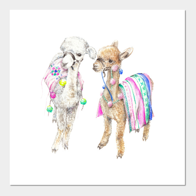630x630 Baby Alpaca Boho Watercolor