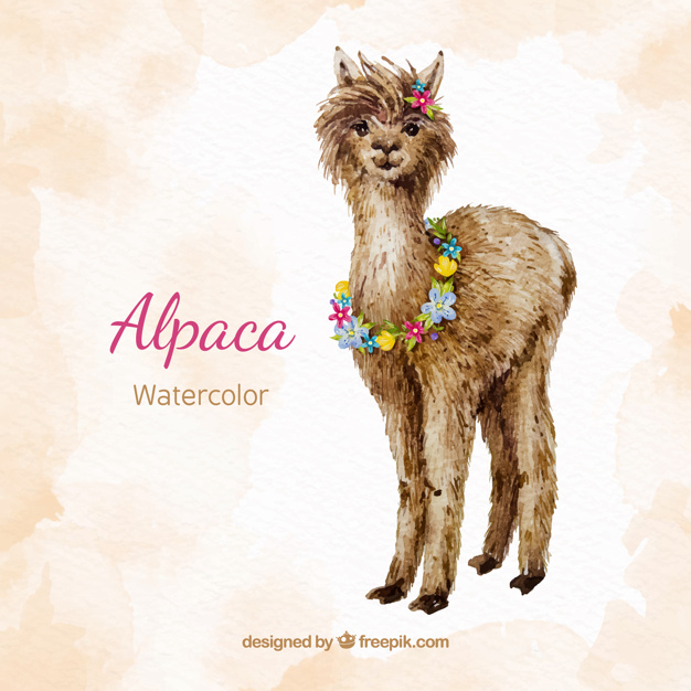 626x626 Cute Alpaca Background In Watercolor Style Vector Free Download
