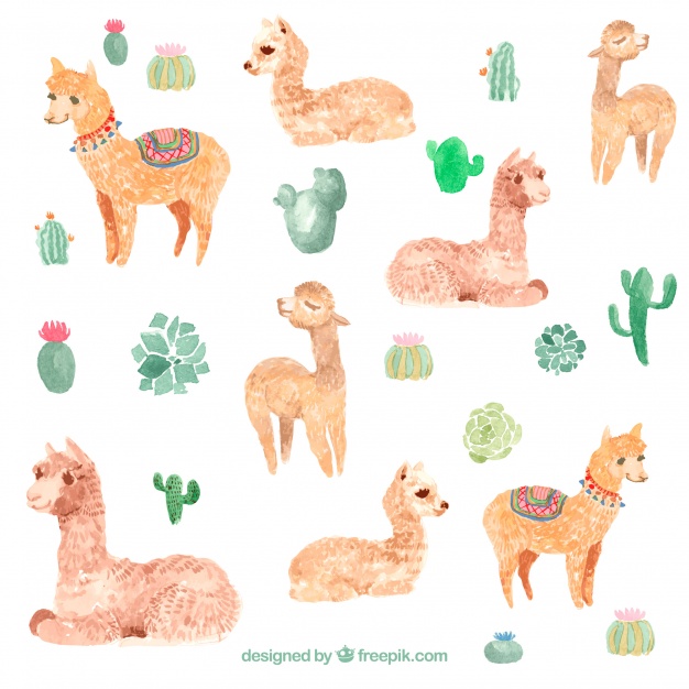 626x626 Cute Watercolor Alpaca Background Vector Free Download
