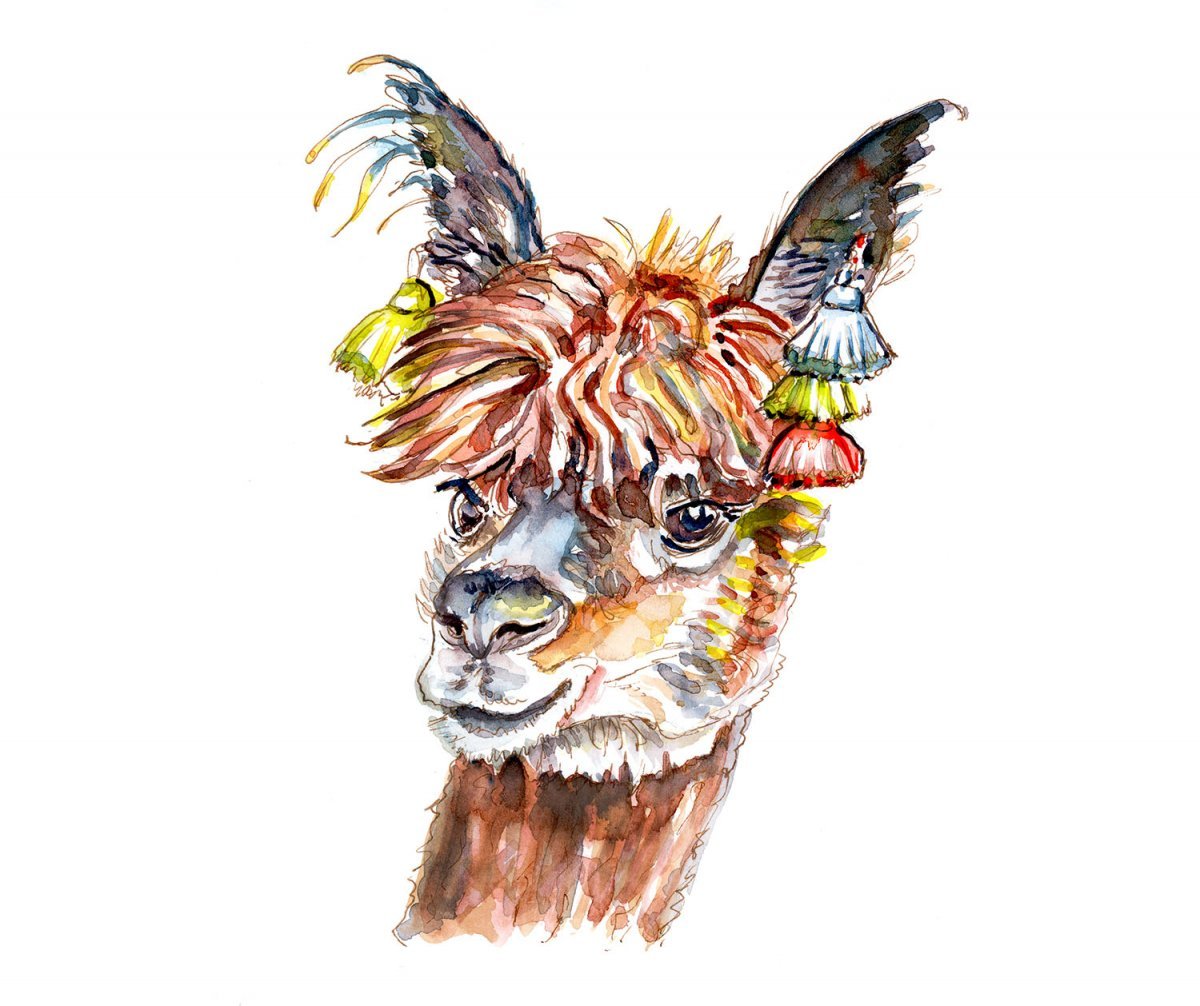 1200x1006 ~ The Wisdom Of Alpacas