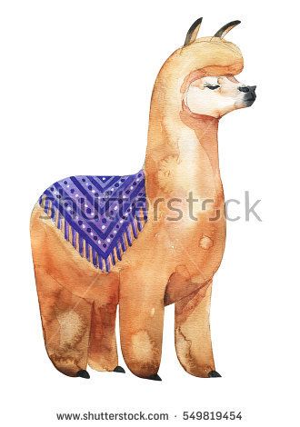 330x470 Llama Or Alpaca Hand Drawn Watercolor Illustration. Cute Mammal
