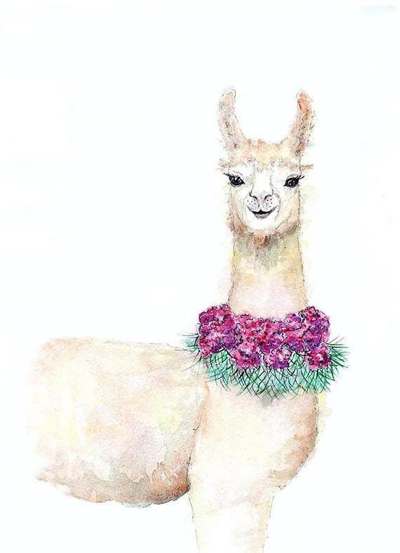 570x788 Llama Print, Alpaca Animal Art, Watercolor Painting From Original