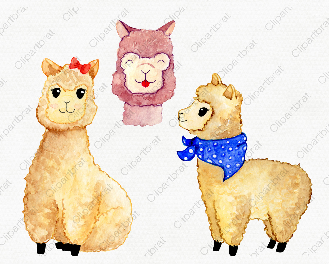 1400x1121 Watercolor Alpacas Succulents Amp Cactus Graphics By Clipartbrat