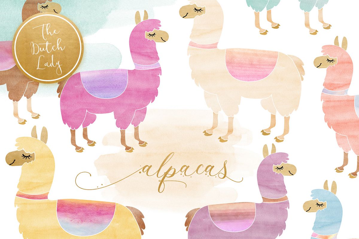 1200x800 Watercolor Lama Amp Alpaca Clipart