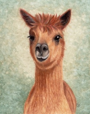 296x373 Alpaca Brown Watercolor Painting By Artist Sherry Goeben