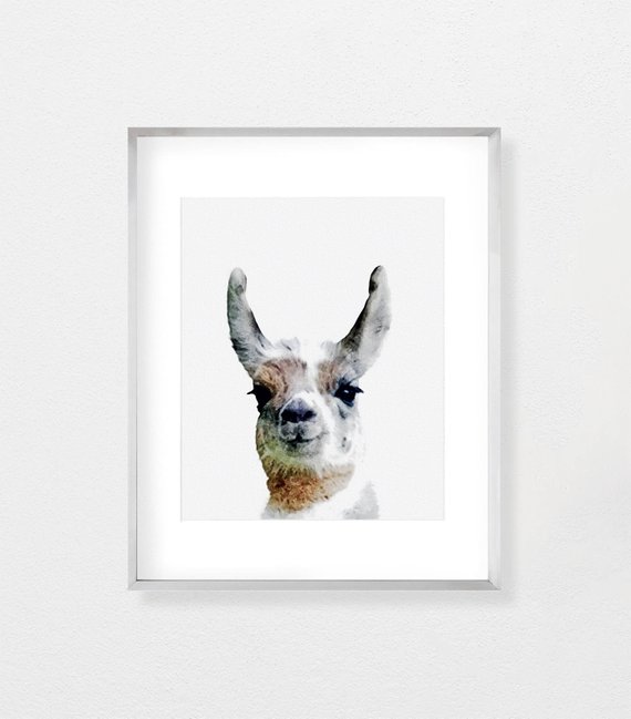 570x649 Alpaca Print Alpaca Art Alpaca Watercolor Alpaca Painting Etsy