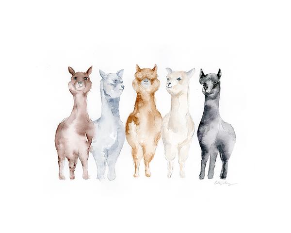 600x480 Alpaca Watercolor Art Print