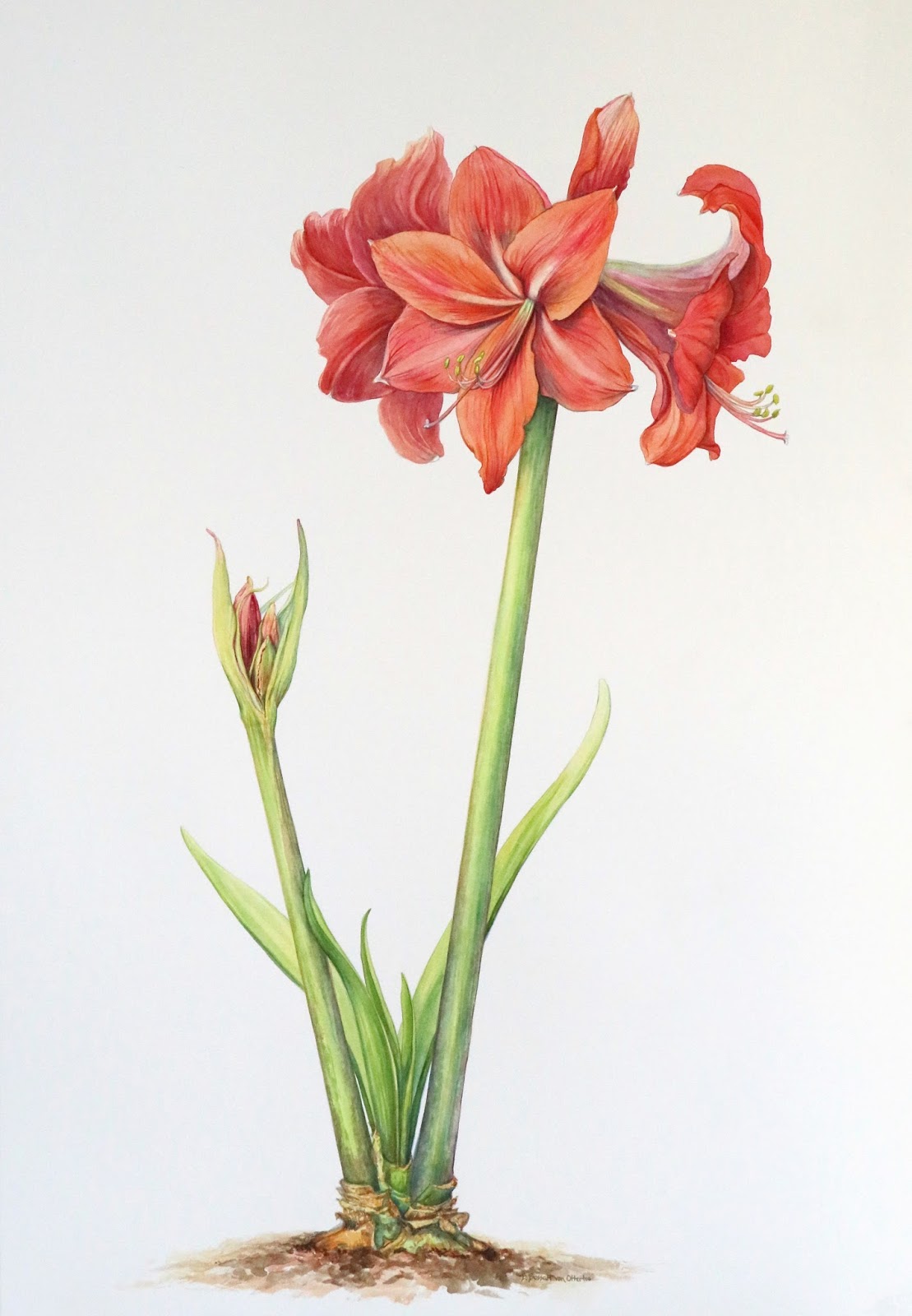 1109x1600 Bridget Bossart Van Otterloo