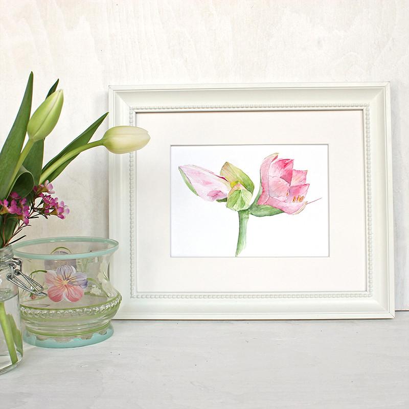 800x800 Pink Amaryllis Watercolor Print Trowel And Paintbrush