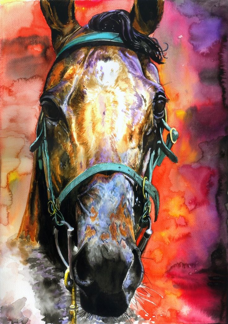 736x1042 Amazing Watercolor Paintings Horse Watercolor Painting, Amazing