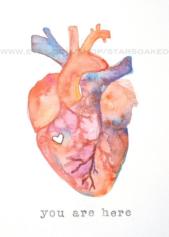 570x798 Anatomy Of Love Human Heart Watercolor Print Diy Inspiration
