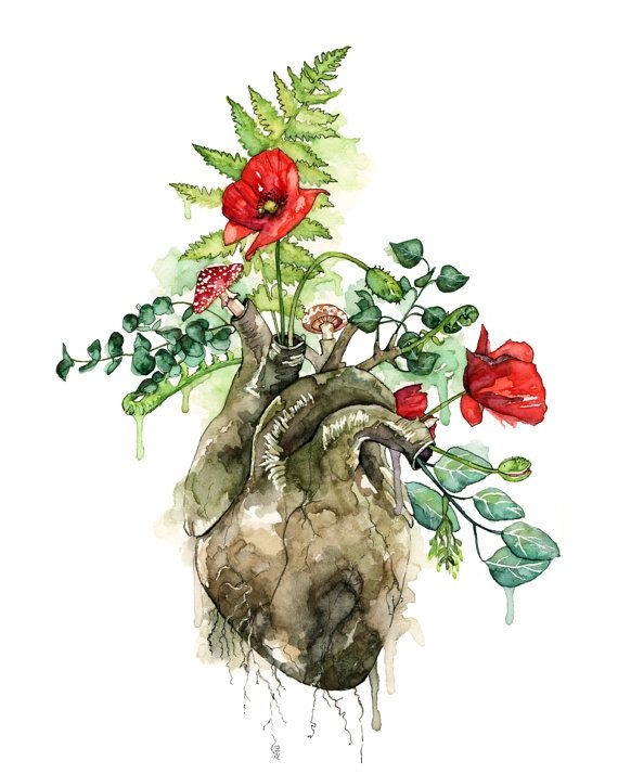 570x714 Human Heart Flower Vase Beautiful 25 Best Ideas About Watercolor