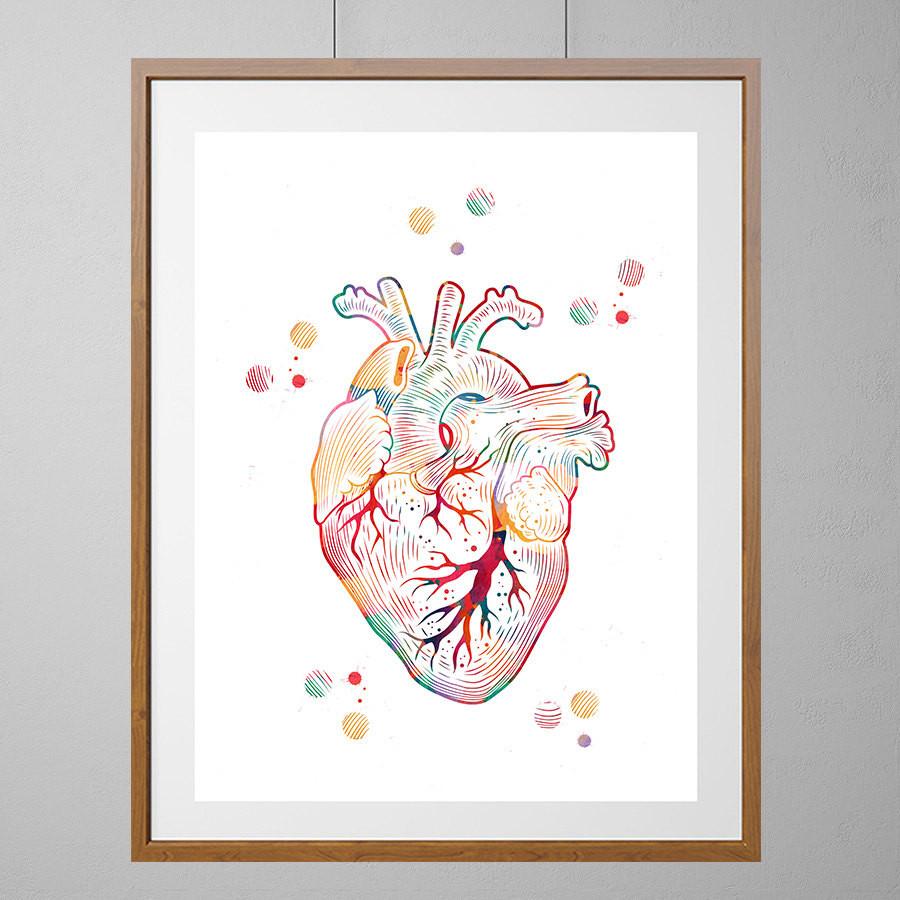900x900 The Human Heart Watercolor Print Mimiprints