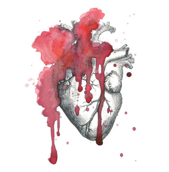 570x579 Vintage Watercolor Anatomical Heart Temporary Tattoo