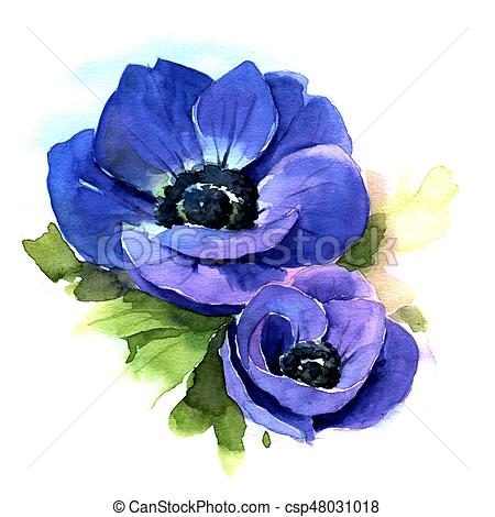 450x470 Anemone. Watercolor Illustration. Flower Blue Anemone. Hand Drawn