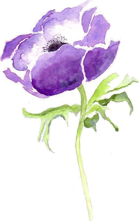 570x907 Blue Flower Anemone Watercolor Greetings Card, Watercolour Art