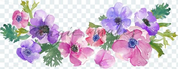 623x244 Download This Cute Bunch Of Watercolor Anemones Clip Art