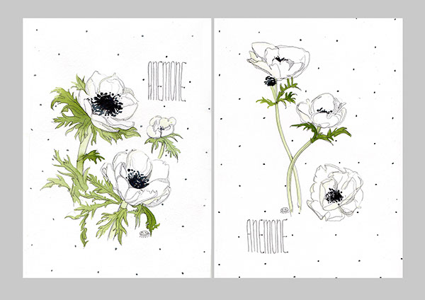 600x424 Watercolor Anemones On Behance
