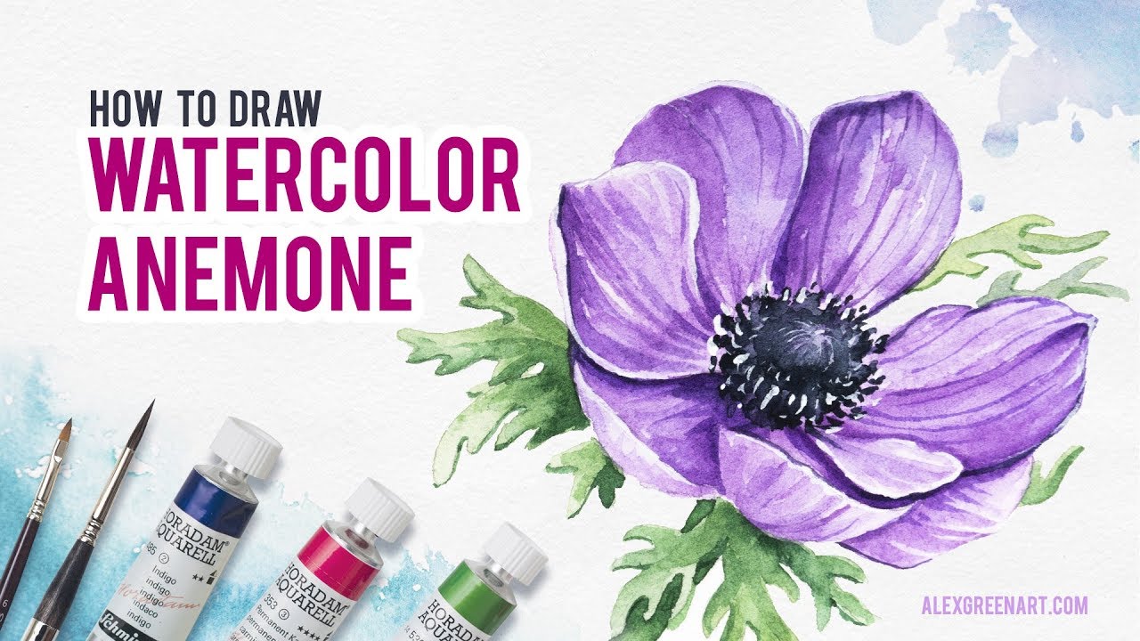 1280x720 Watercolor Anemone. How To Draw Flowers.