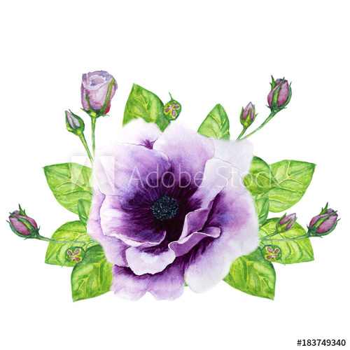 500x500 Bouquet Of Roses And Anemone Watercolor Illustration