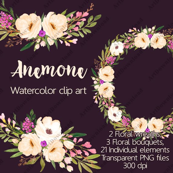 570x570 Anemone Watercolor Flower Clip Art Hand Painted Flowers Etsy