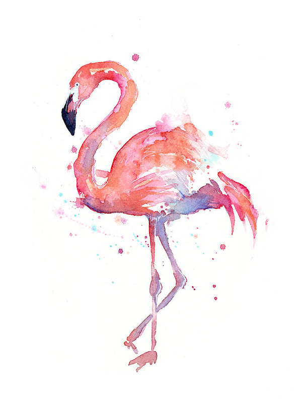 598x800 Flamingo Watercolor Art Print By Olga Shvartsur