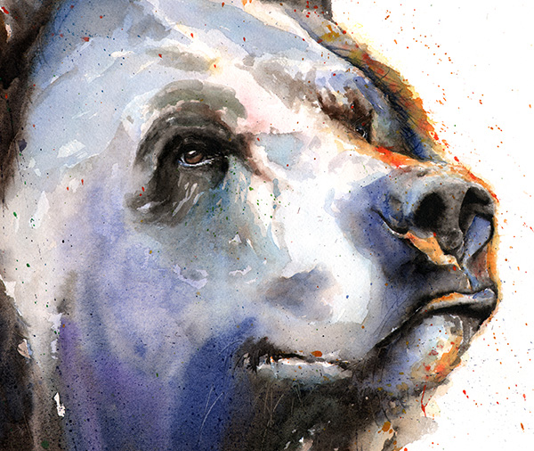 600x506 Grizzly Bear Watercolor Print Watercolor Animal Paintings