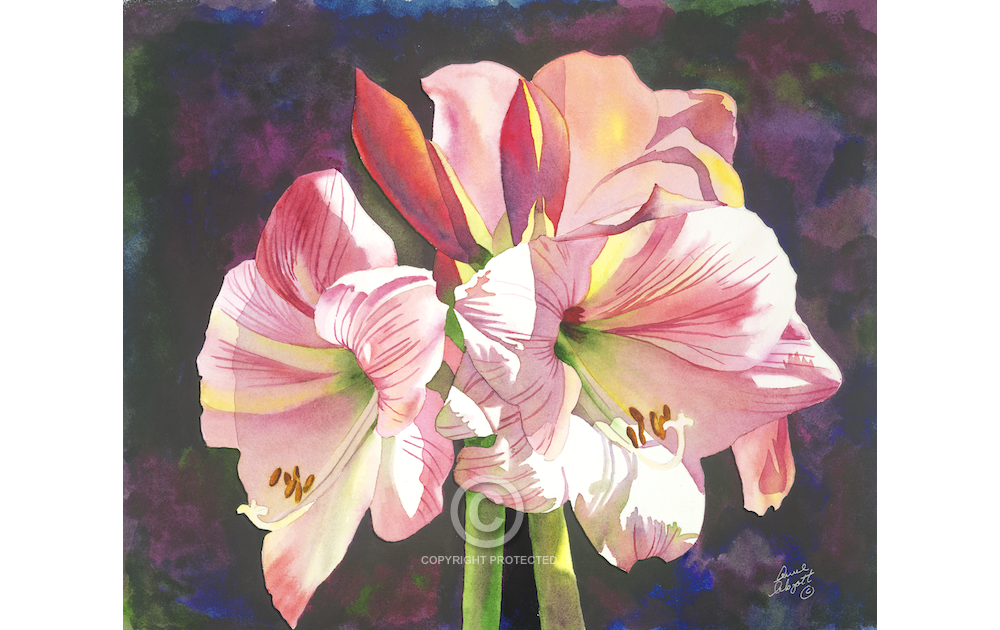 1000x630 Watercolor Painting Anne Abgott Water Colors Floral Design